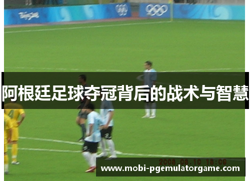 阿根廷足球夺冠背后的战术与智慧 阿根廷足球夺冠背后的战术与智慧